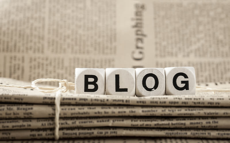 Blog & Article